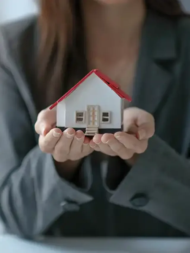 Bases de l’immobilier